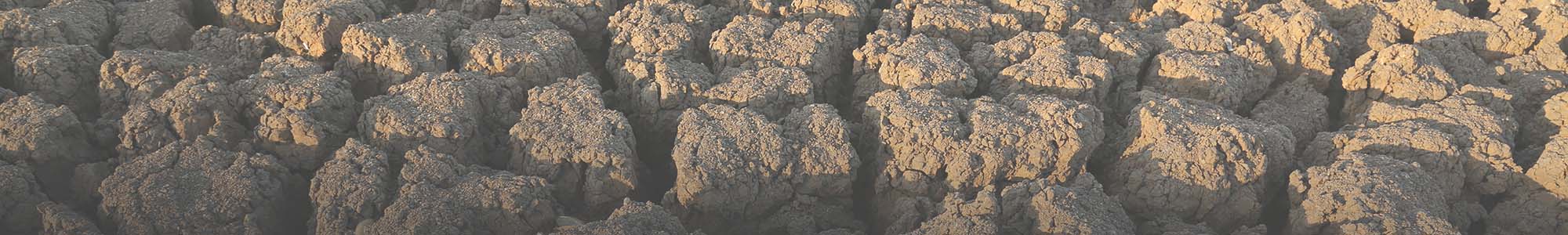 Climate Change Adaptation